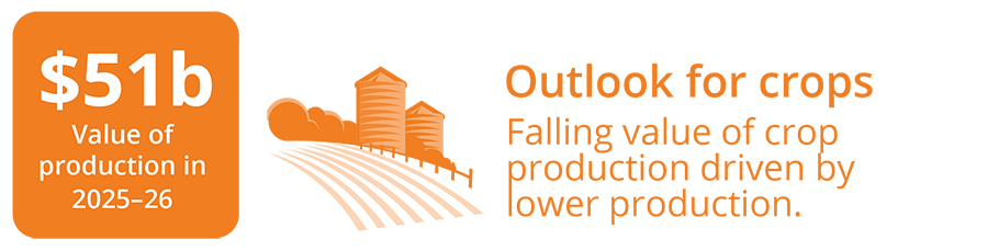 Outlook for crops - falling value of crop production driven by lower production.