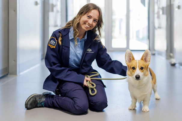Biosecurity woman kneeling on the ground holding the leash of a corgi.