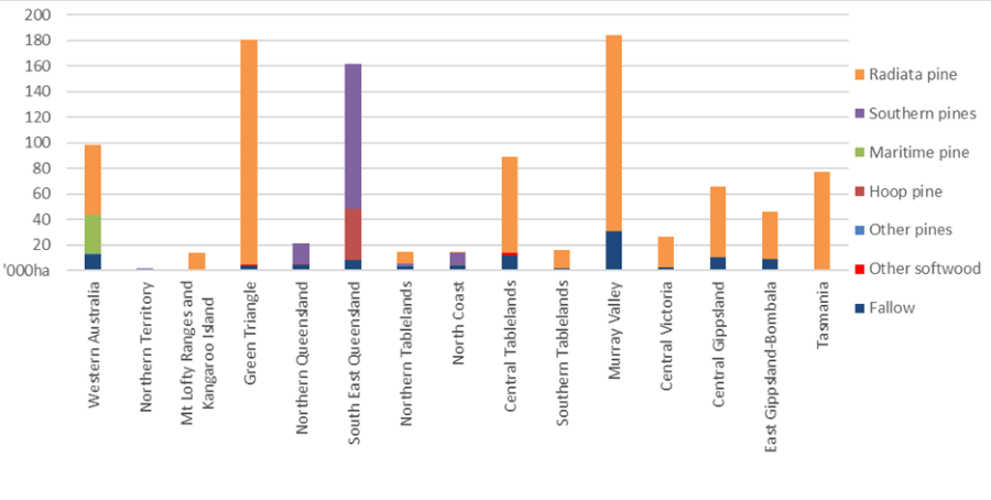 This chart shows that softwood plantations are predominately radiata pine in southern Australia, while southern pines are planted in northern New South Wales and Queensland, hoop pine are planted in Queensland and maritime pine is planted in drier parts of Western Australia.