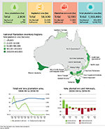 Plantations infographic