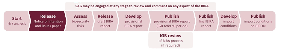 Risk analysis flow chart - release of risk analysis