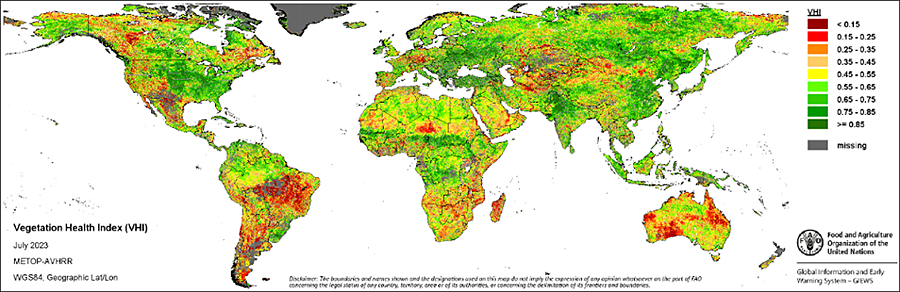 Analysis of the Vegetation Health Index (VHI) for July 2023 indicates poor vegetation condition across parts of tropical and southern Africa, much of South America, across western and eastern Australia, parts of northern Europe, Mexico, and the western US and Canada, due to prolonged dryness and drought conditions in many areas.