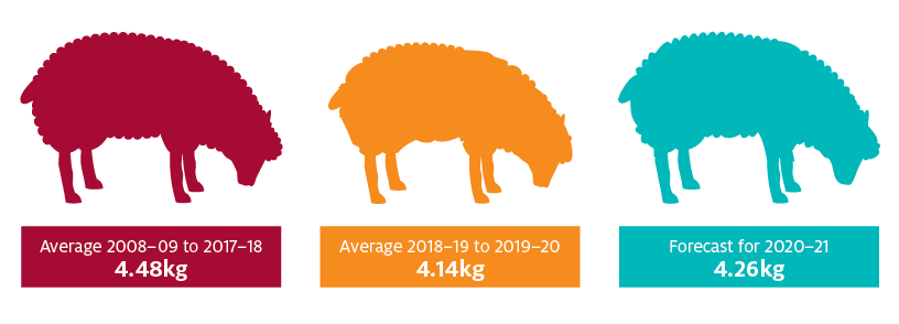 Average greasy wool cut per head is forecast to increase in 2020–21 to 4.26kg. This will remain below the 10-year average to 2017–18 of 4.48kg. However, it will be a significant improvement on the 30-year lows of 4.14 kg reached during the 2018 and 2019 drought.