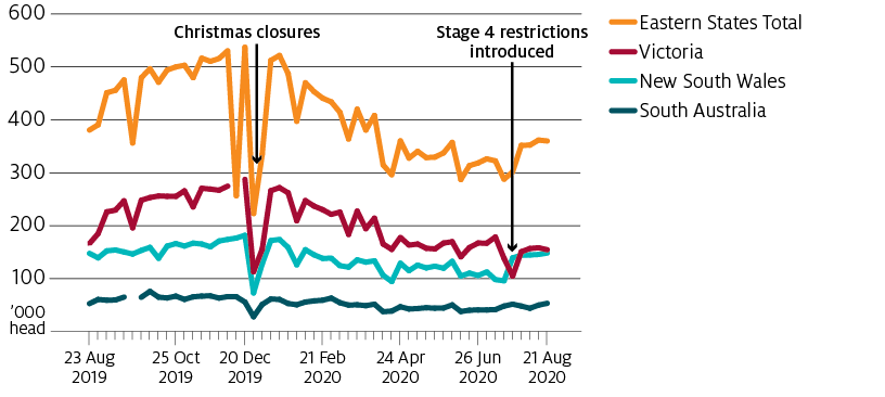 In Victoria, slaughter fell following COVID-19 outbreaks in meat processing facilities and the introduction of stage 4 restrictions on 2 August. New South Wales and South Australia also increased slaughter rates at these points, helping to maintain the eastern states total.