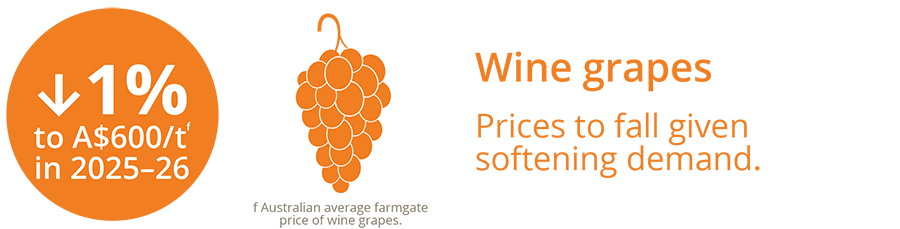Wine infographic