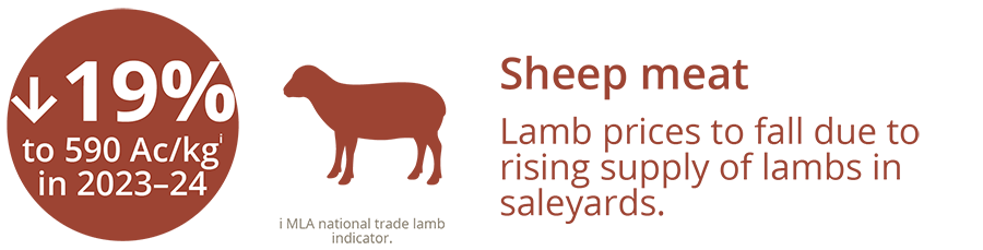 This infographic shows that lamb prices are forecast to fall by 19% to 590 cents per kilograms due to a rising supply of lambs in saleyards.