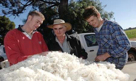 Three people inspecting a pile of wool