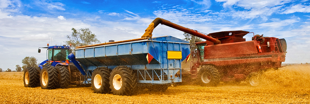 A blue truck has grain fed into it by an orange harvester, in a yellow field against a cloudy blue sky.