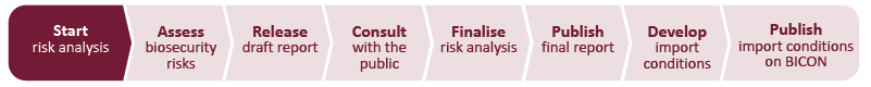 Risk analysis flow chart - start of risk analysis