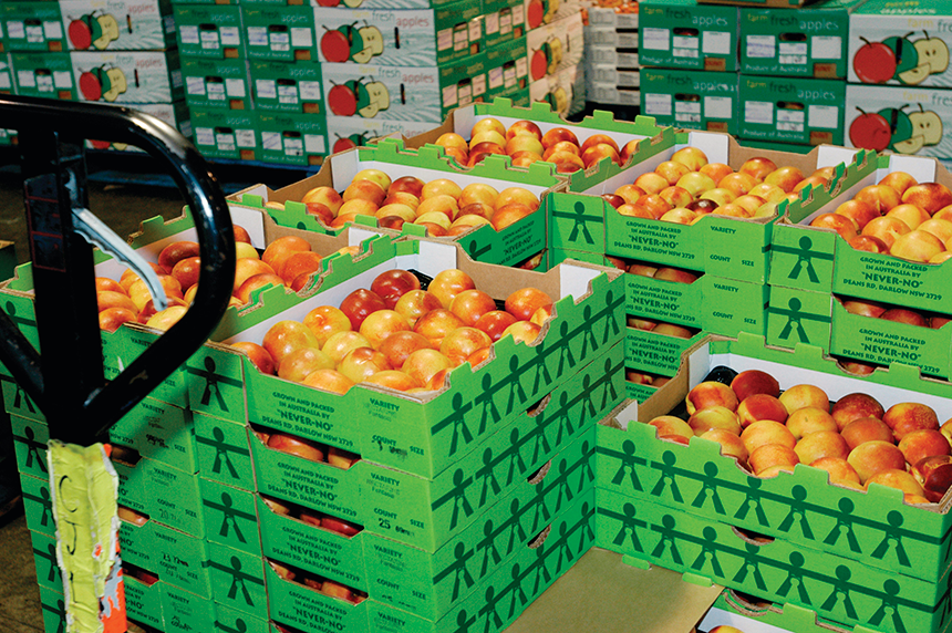 Market access improvements: A case study of stone fruit exports to China -  DAFF