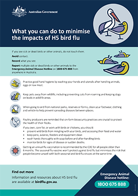 Cover image for a document on minimising h5 bird flu impacts.