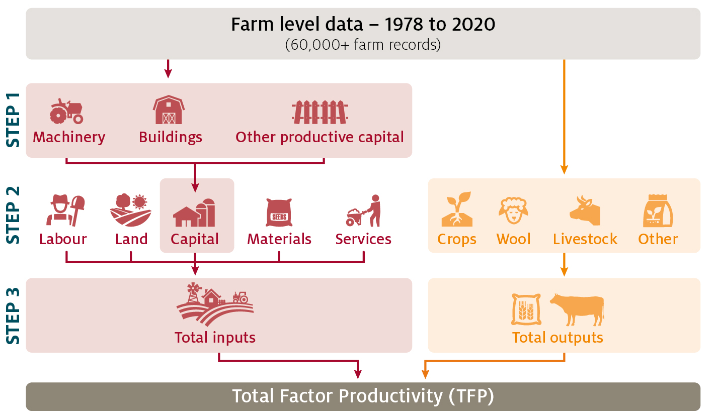 Diagram showing farm level data is aggregated to TFP estimates through a 3-step process 
