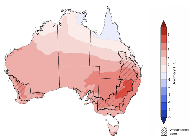 Map showing the predicted maximum temperature anomaly for the next week in Australia. Image provided by the Bureau of Meteorology. Please refer to accompanying text for a more detailed description.