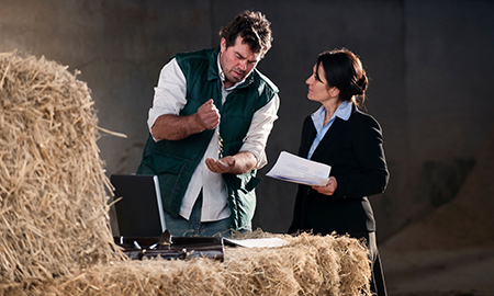 Two people standing near bales of hay. One is sifting grain through their hands, the other is watching while holding a piece of paper