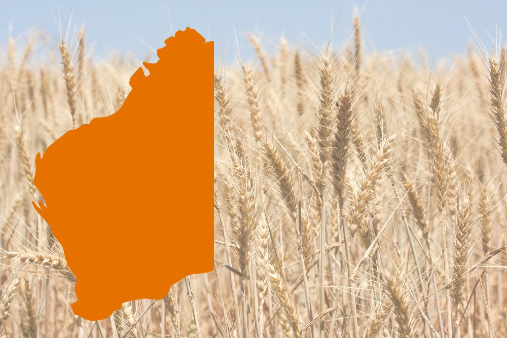 Snapshot Western Australia agricultural exports 2022 DAFF