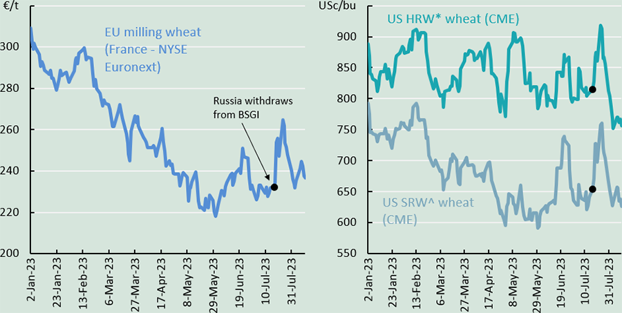 These line charts show that French and US wheat futures prices rallied following the Russian Federation's withdrawal from the Black Sea Grain Initiative in July.
