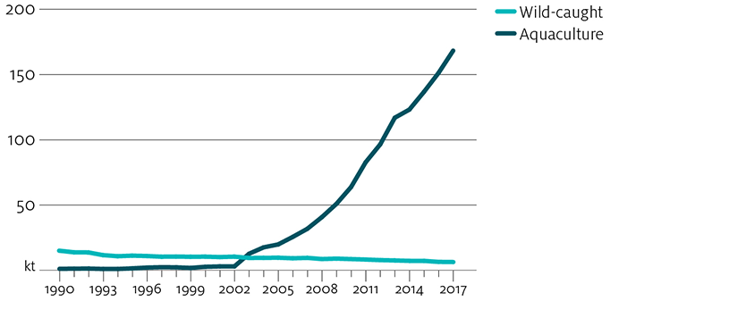 Global wild-caught abalone production has followed a slight declining trend between 1990 and 2017, falling from around 18,000 tonnes to 6,341 tonnes by 2017. Since 2002 global aquaculture production has increased from negligible levels to 174,633 tonnes by 2017.
