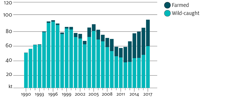 The pattern of change in the volume of world blue fin tuna production has oscillated between periods of growth and decline during the period 1990 to 2017. Farmed product has contributed an increasing share of total production of bluefin tuna over this period, growing from a negligible level in 1990 to contribute 39% of total blue fin production by 2017.