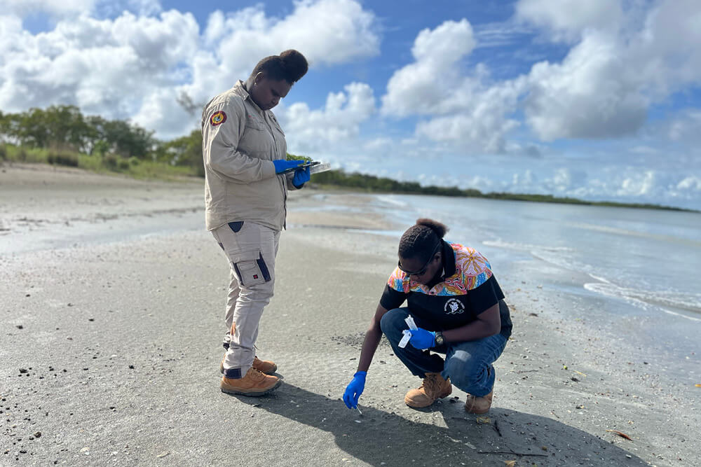 Indigenous rangers work with DAFF to help deliver early detection biosecurity across the north of Australia.