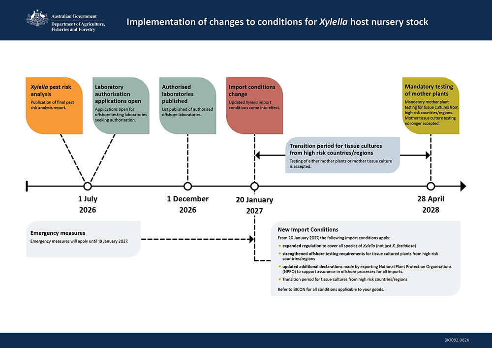 Timeline outlining phased implementation of updated Xylella import conditions. Includes transition period allowing testing of mother plants or tissue culture from July 2026, publication of authorised offshore laboratories by December 2026, new import conditions from January 2027 with expanded regulation and stronger testing requirements, and final shift to mandatory mother plant testing by April 2028.