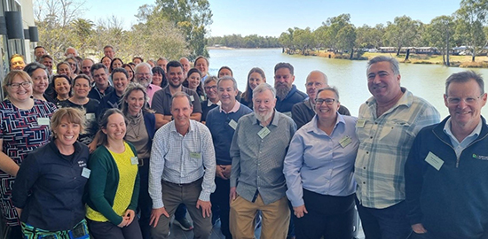 photo of xylella bacteria