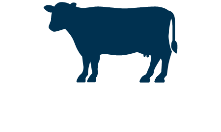 Foot-and-mouth disease - DAFF Foot-and-mouth disease - DAFF