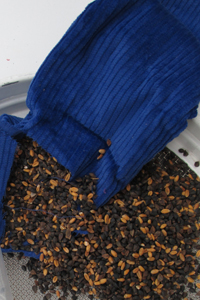 A photo of a bag of seeds.