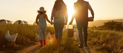 Image of the silhouettes of three people, including a child, walking together, hand in hand, away from the camera; they are in a field with the sun shining and low in the sky
