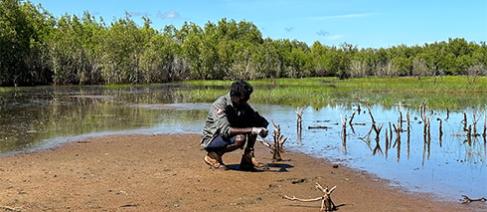 Thamarrurr Indigenous ranger collecting samples to test for avian influenza NAQS
