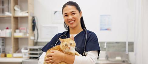 A vet holding a ginger cat