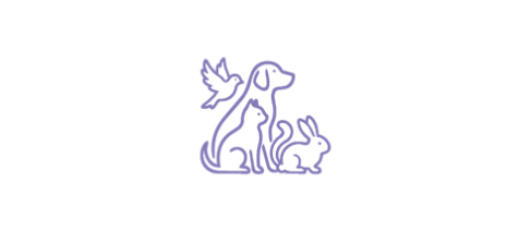 Decorative image
