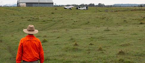 Activity on a Farm, Involving Cows and Drones