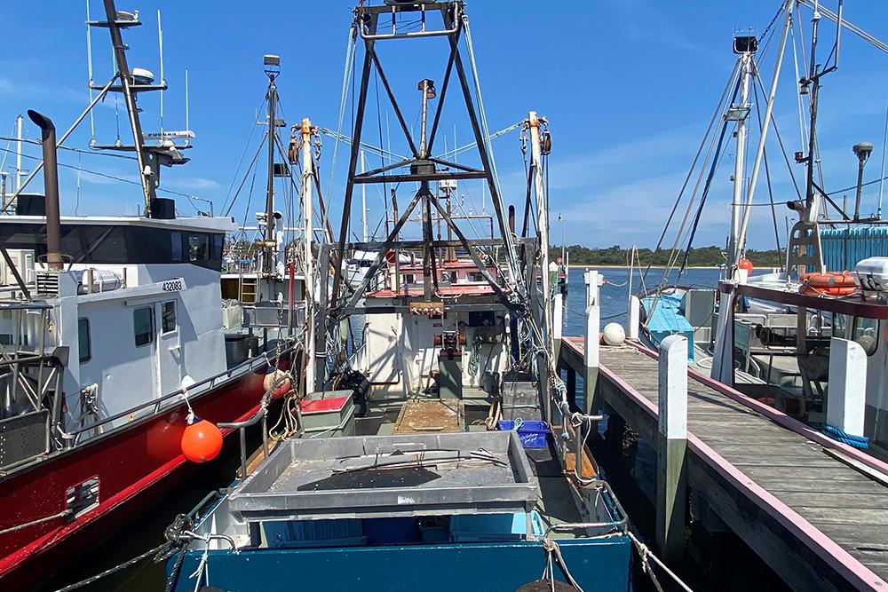 Several boats moored at a dock