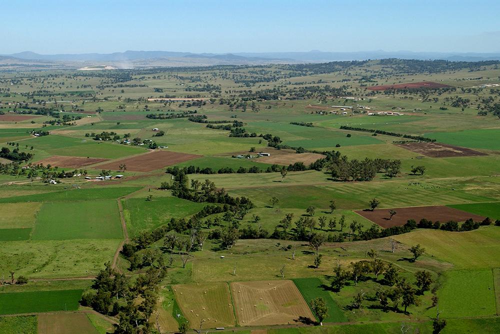 Aerial view of green fields