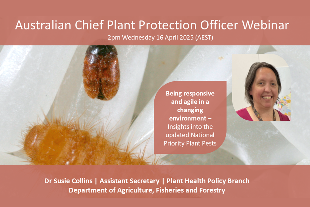 Webinar cover image