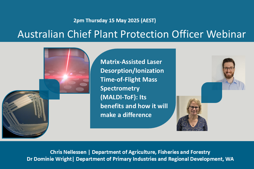 Webinar cover image