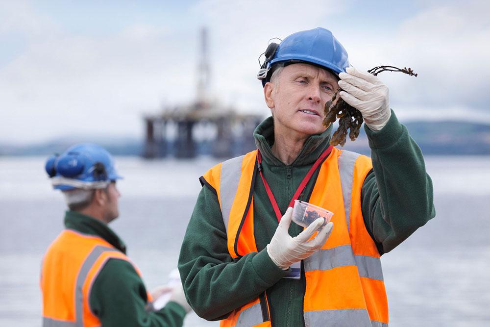 Image of a person in a high visibility vest and hard hat, standing in front of a large body of water, examining some seaweed
