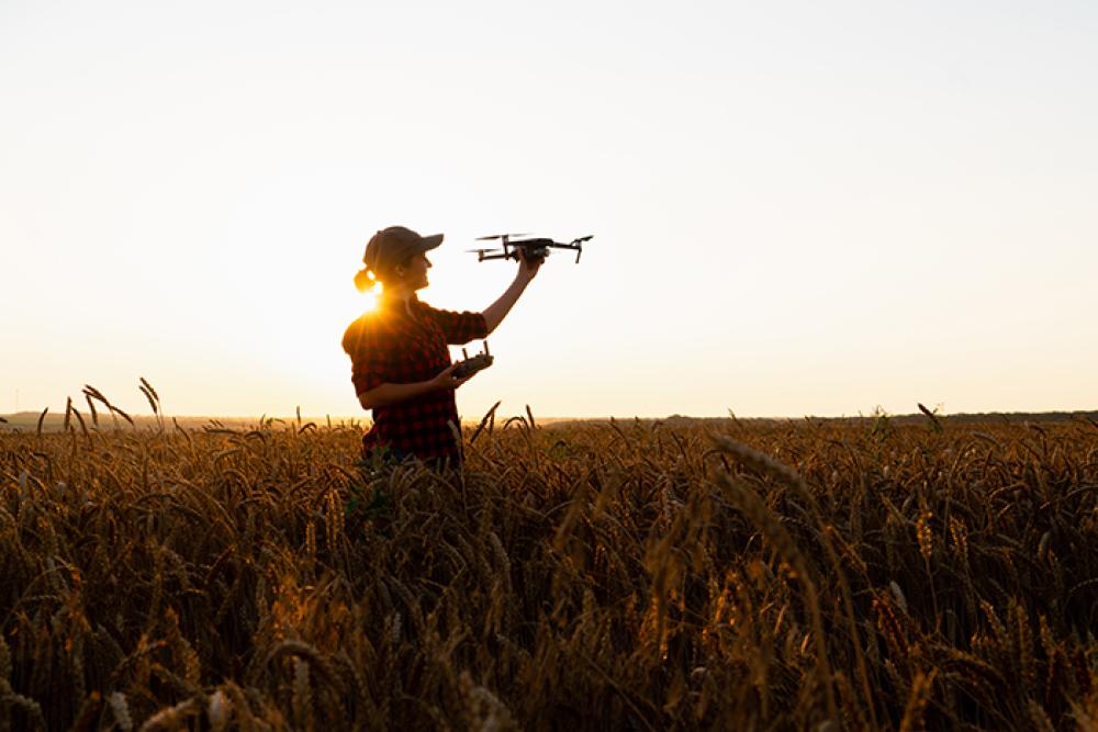 Image of a person standing in a field of tall grass at sunset, holding up a drone