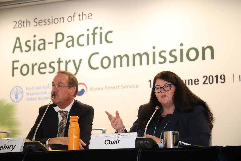 Image of two people sitting in front of microphones on a panel, in front of a background which says "Asia-Pacific Forestry Commission"