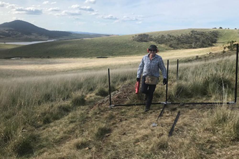 Person standing in field