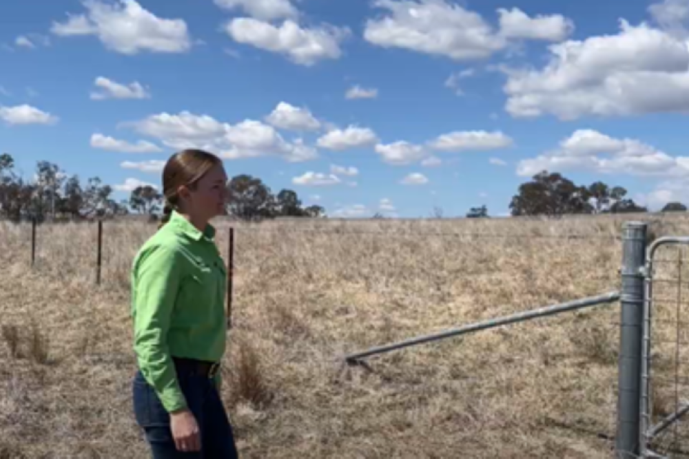 A person standing in a field.