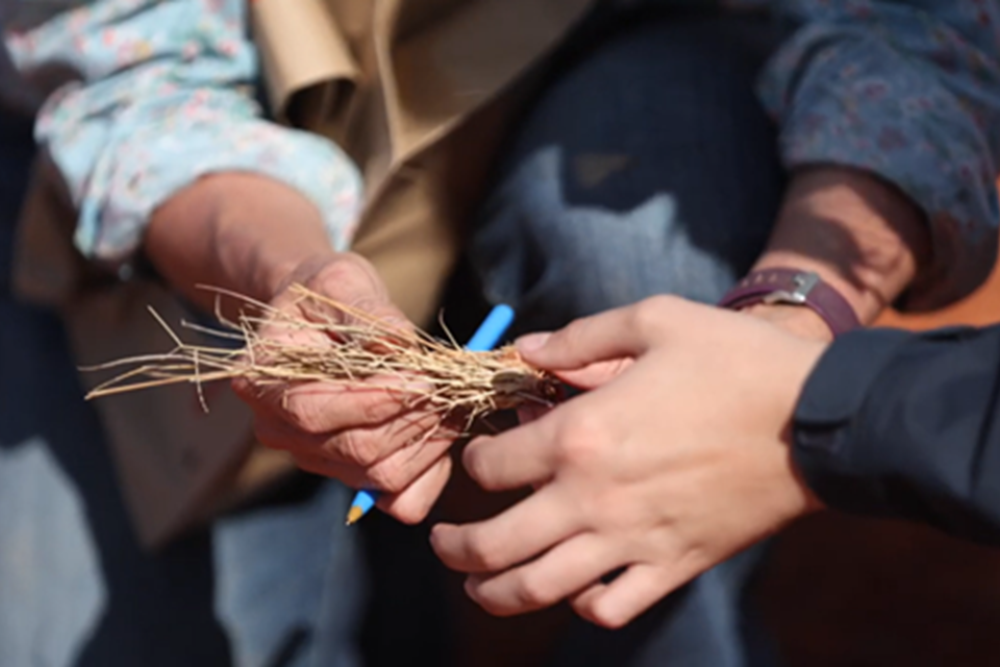 hands holding straw