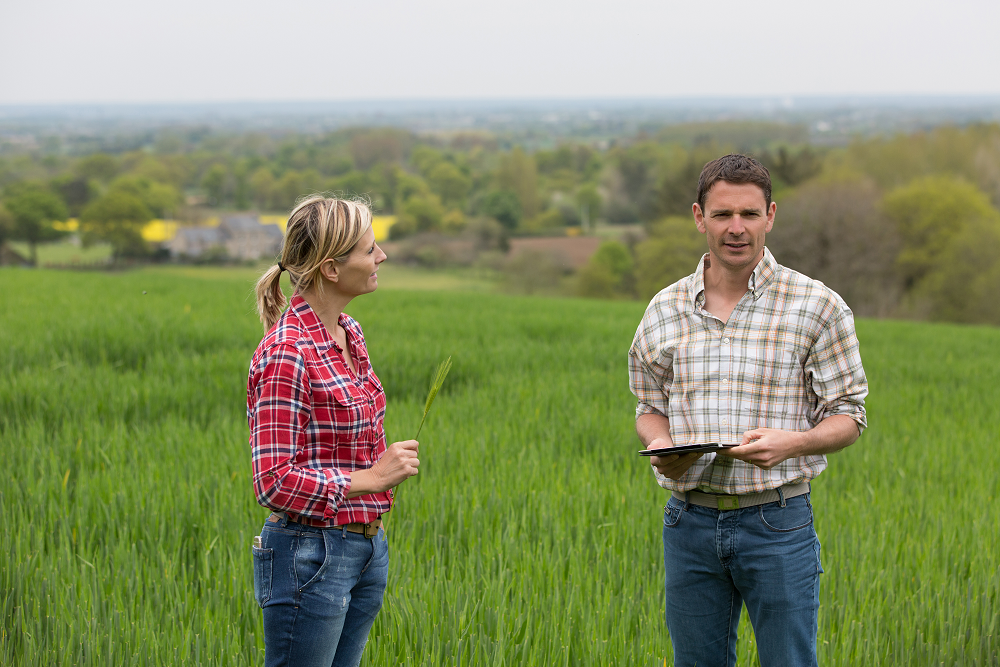 Image of two people standing in a green field, having a discussion