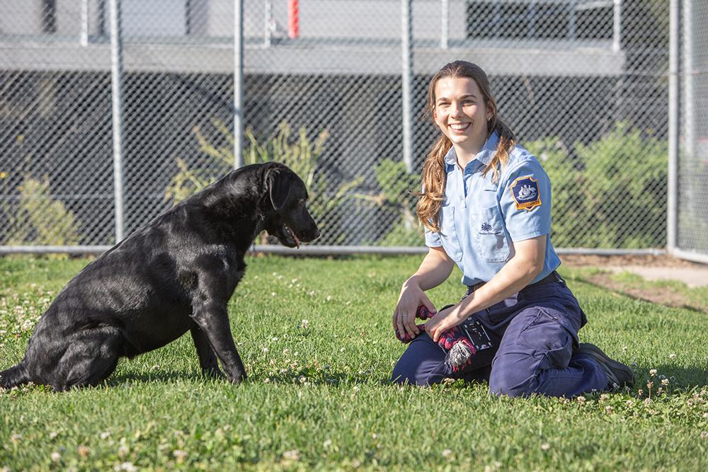 A detector dog sits on a grassed area, alongside a person in uniform 