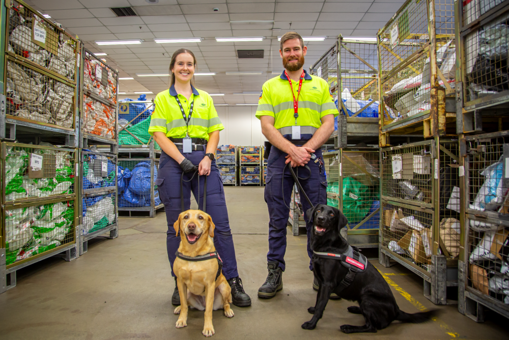 Detector dogs and trainers