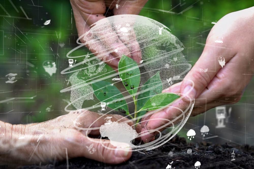 Three hands planting with a transparent globe on top.