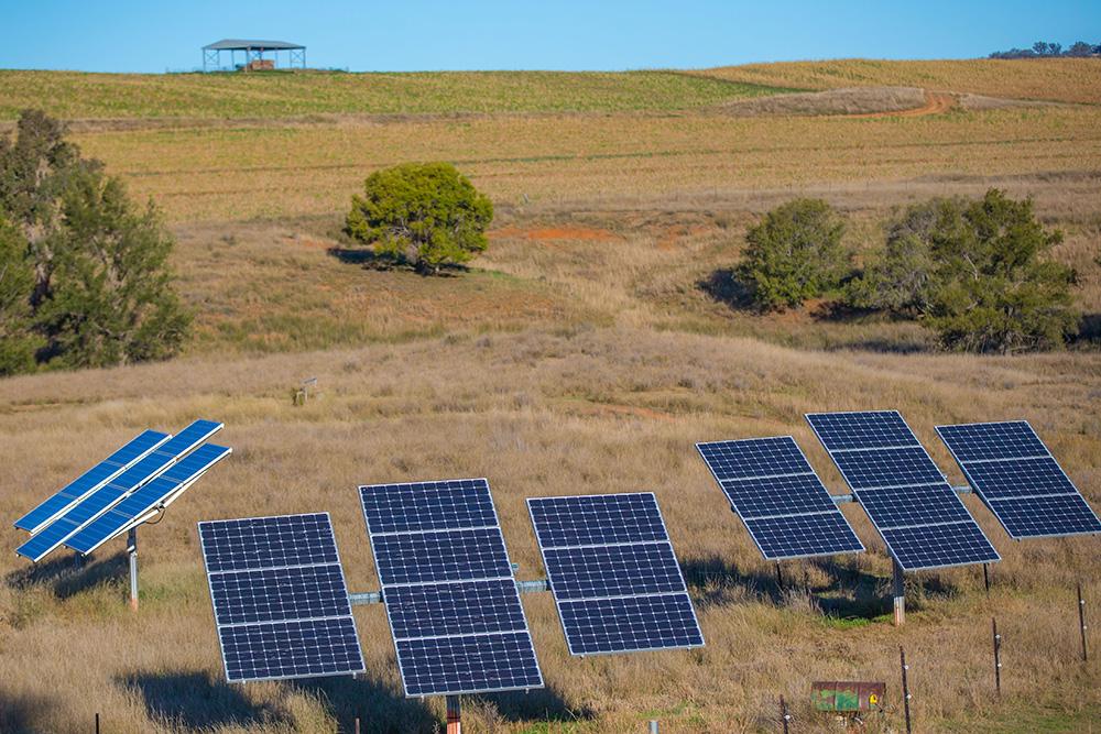 Solar panels in the middle of a field