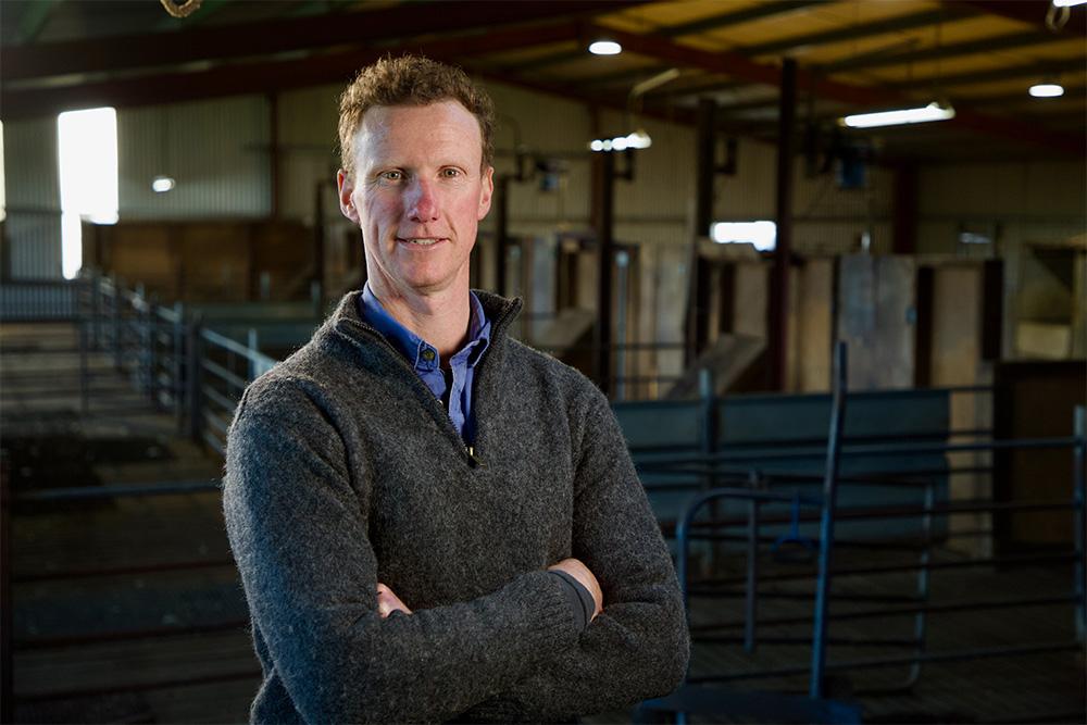 Image of a man standing in front of a cattle run