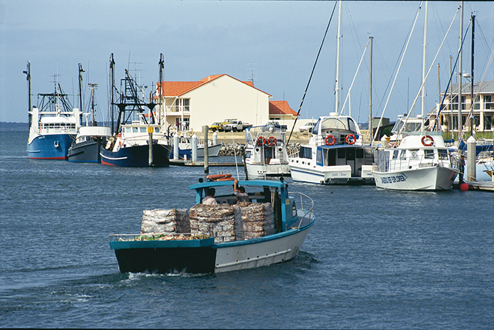 Image of a small ship in a harbour