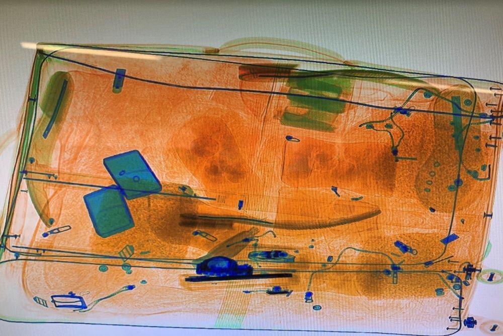 X-ray of container of hatching eggs